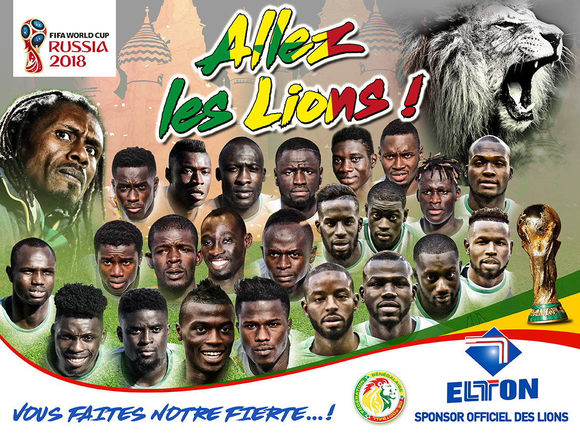 AFFICHE 4x3 DES LIONS final avec CC